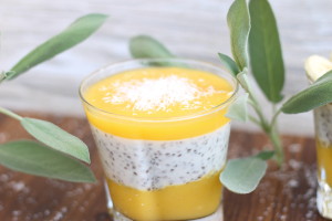Mango chia puding
